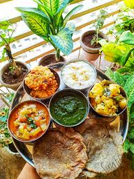 Falhari Executive Thali